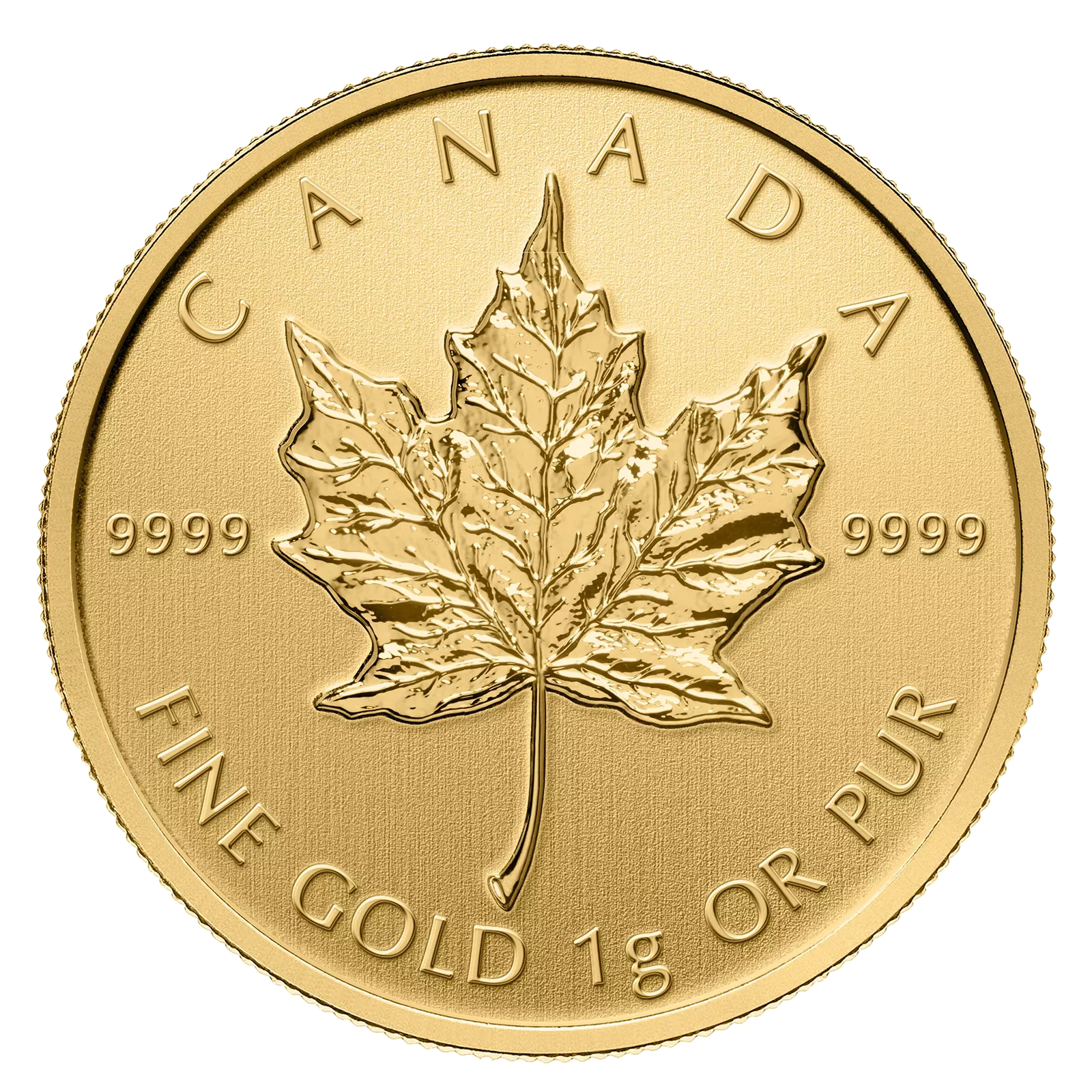 25x 1g Goldmünze Maple Leaf - Maplegram