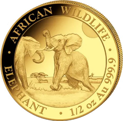 1/2oz Goldmünze – African Wildlife Elefant 2024 - Umlaufware